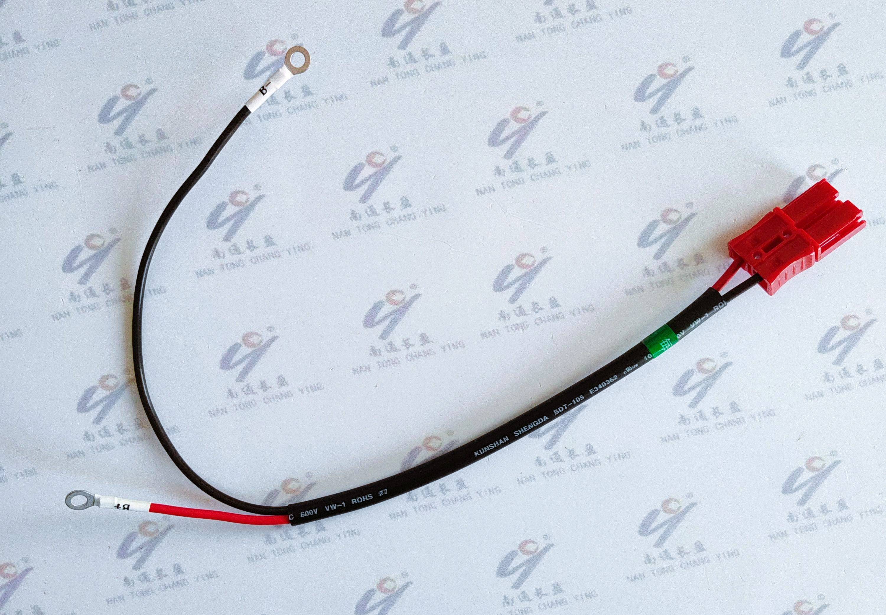 CY0054-008 放电线束