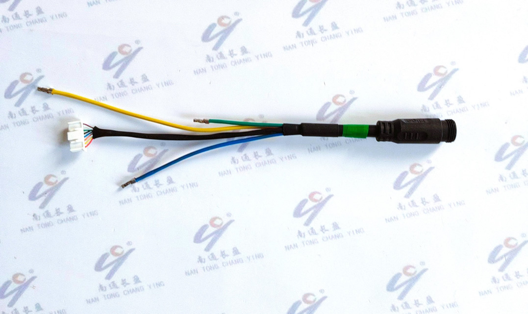 CY0019-001 电机线