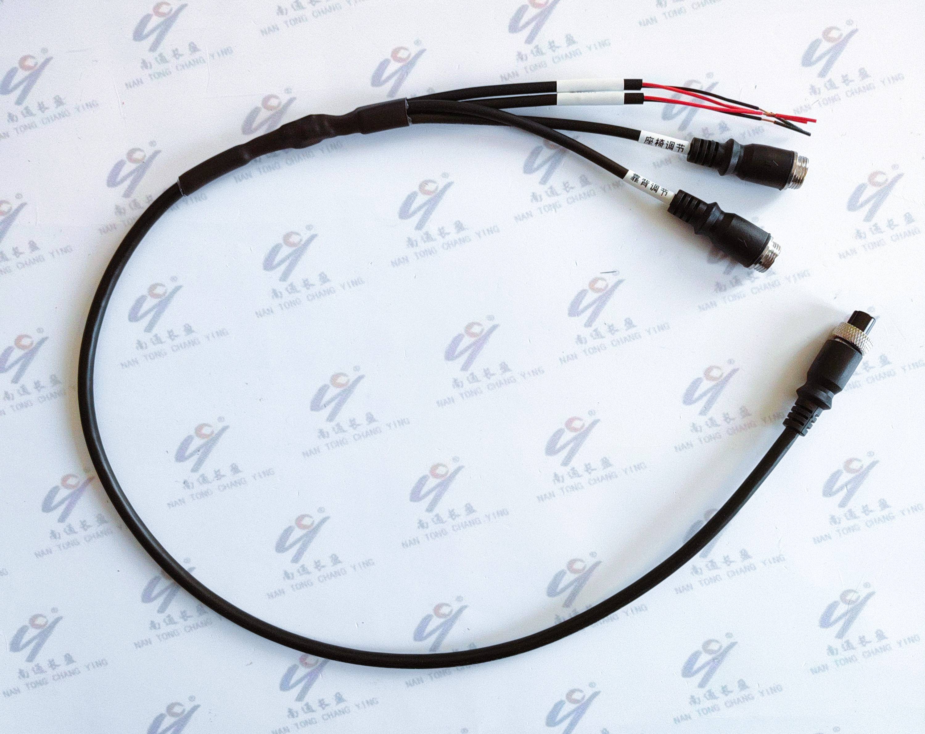 CY0220-006 双灯双推杆线束